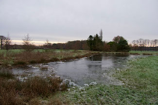 P1020311