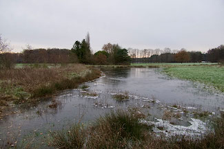 P1020312