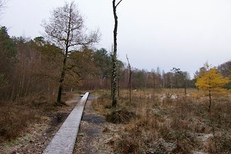 P1020353