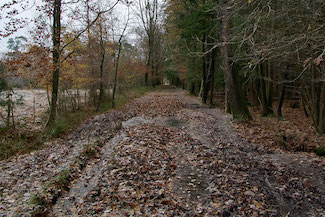 P1020356