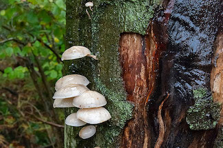 2_D600_DSC6749