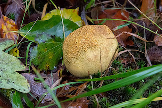 2_D600_DSC6751