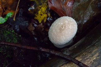 2_D600_DSC6755