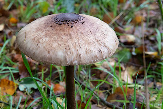 2_D600_DSC6757