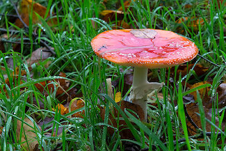 2_D600_DSC6760