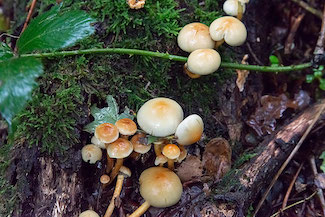 2_D600_DSC6767