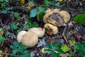 2_D600_DSC6773