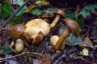 2_D600_DSC6777