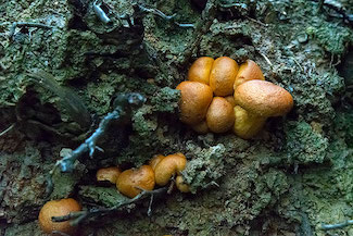 2_D600_DSC6788