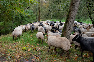 2_D600_DSC6807