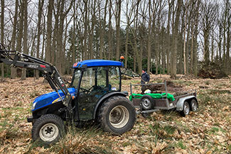 IMG_2895