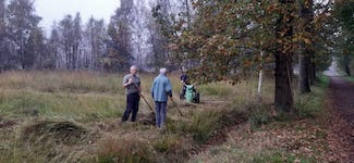 IMG-20241026-WA0000