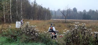 IMG-20241026-WA0003