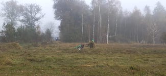 IMG-20241026-WA0004