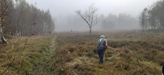 IMG-20241026-WA0005