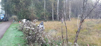 IMG-20241026-WA0006