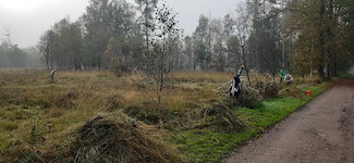 IMG-20241026-WA0007