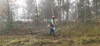 IMG-20241026-WA0008