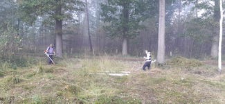 IMG-20241026-WA0009