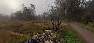 IMG-20241026-WA0010