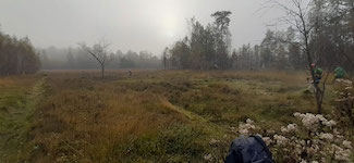 IMG-20241026-WA0011