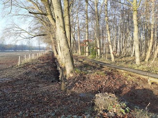 IMG-20241228-WA0012
