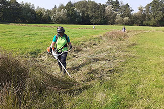 IMG-20240831-WA0000