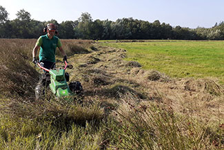 IMG-20240831-WA0008