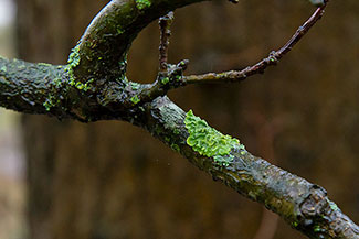 2_D600_DSC6972