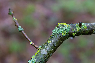2_D600_DSC6974