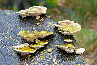 2_D600_DSC6979