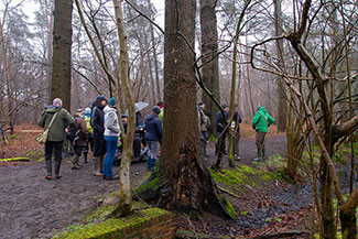 2_D600_DSC6985