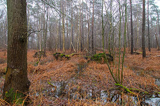 2_D600_DSC6991