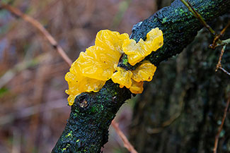 2_D600_DSC6995