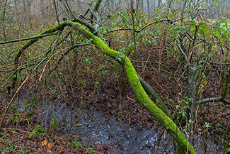 2_D600_DSC6998