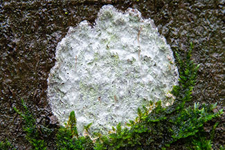 2_D600_DSC7033