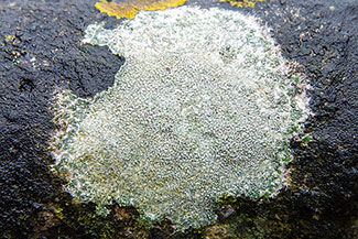 2_D600_DSC7036