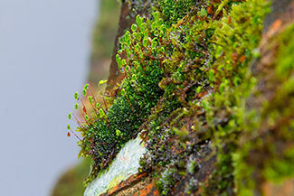 2_D600_DSC7045