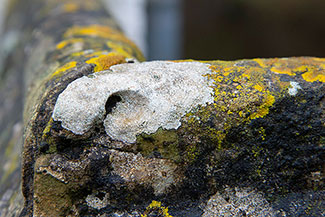 2_D600_DSC7055
