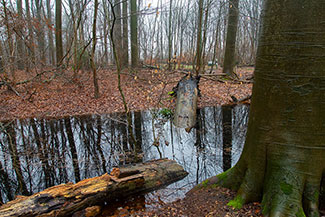 2_D600_DSC7057