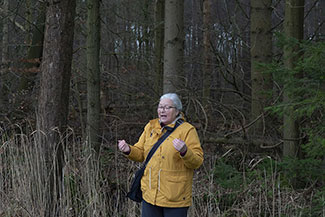 2_D600_DSC6909