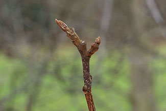 2_D600_DSC6938