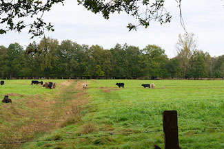 2_D600_DSC7460