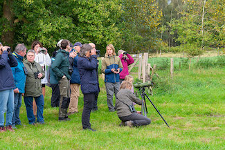 2_D600_DSC7464