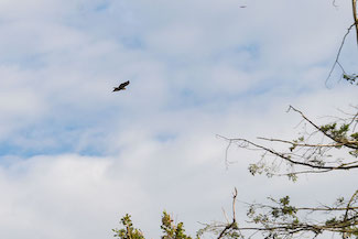 2_D600_DSC7477